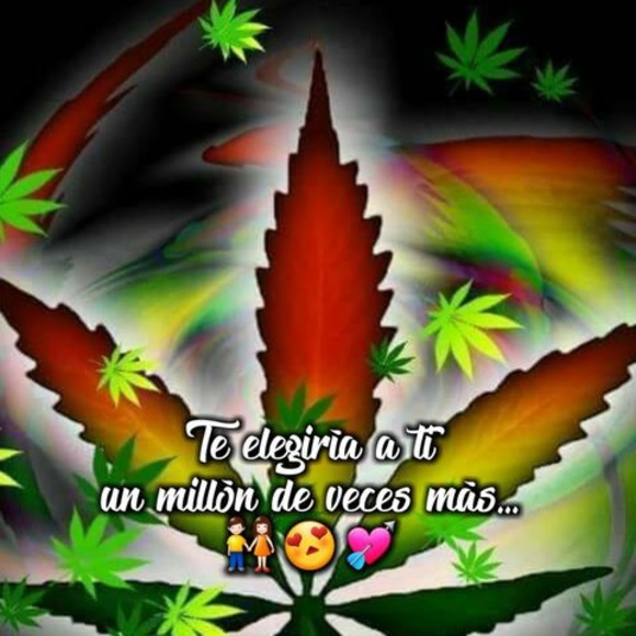 Meet your Posher, Brandon - Picture 1 of 1